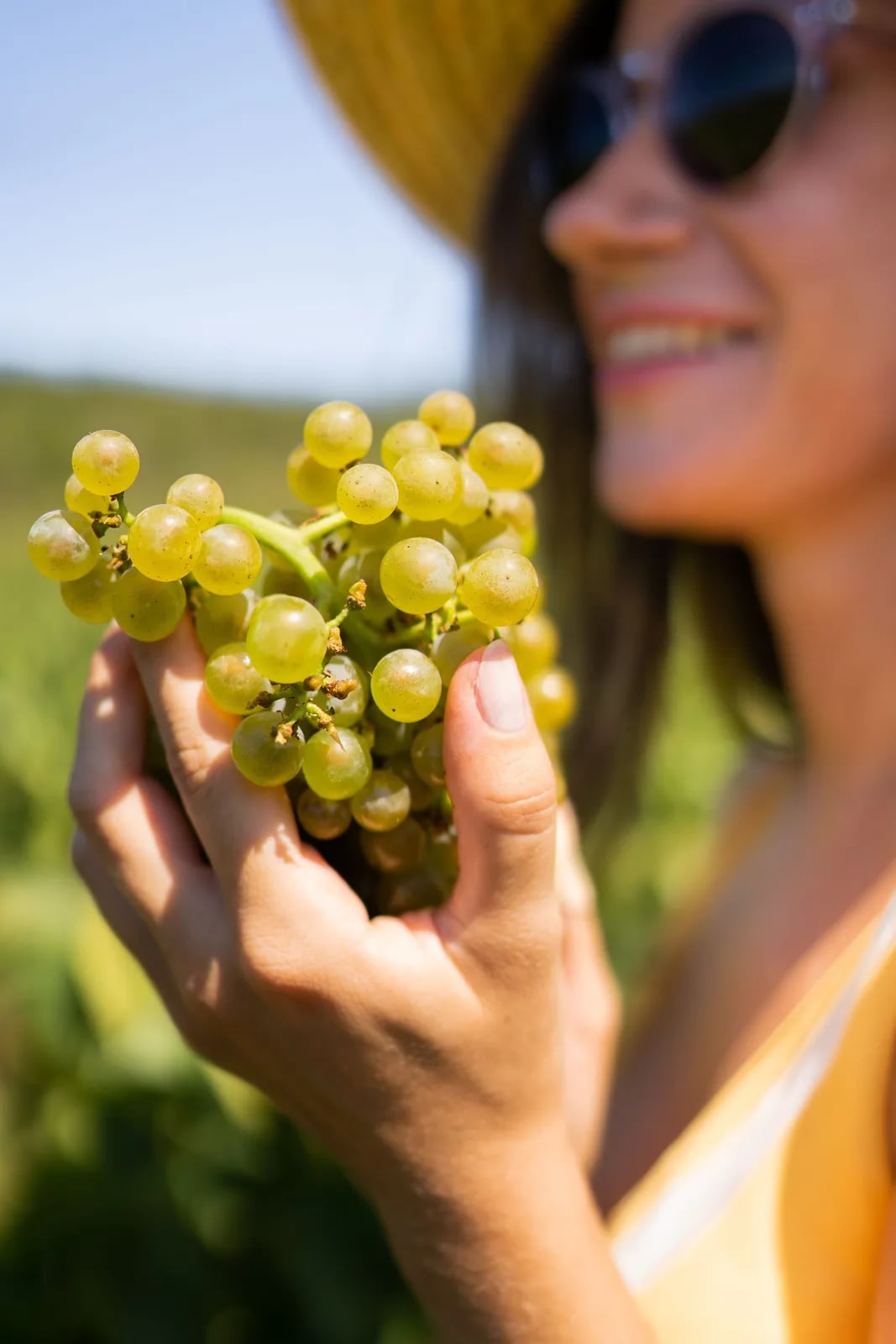 Fiera del vino