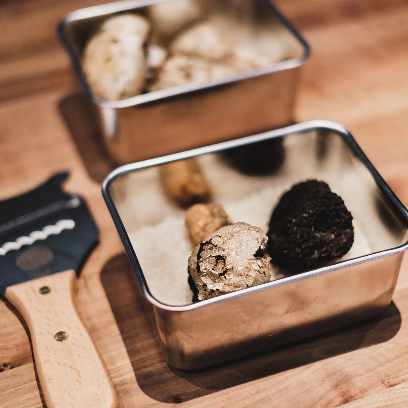 Fiera nazionale del tartufo Trifola D’or