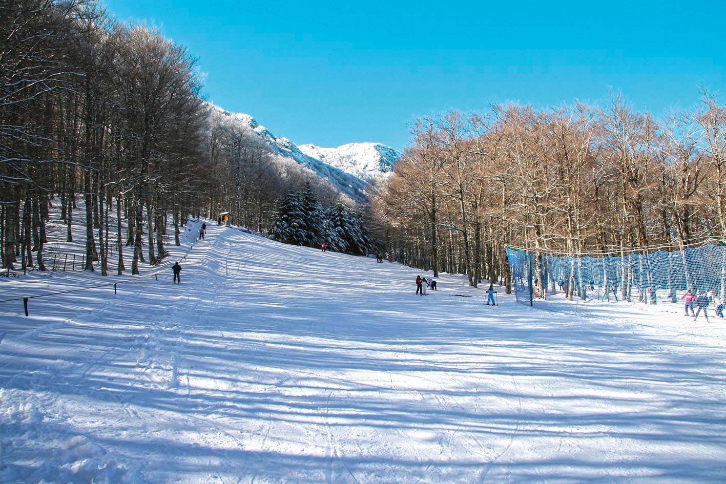 Piste da sci della Montagna Grande di Viggiano immerse nella faggeta dell'Appennino Lucano