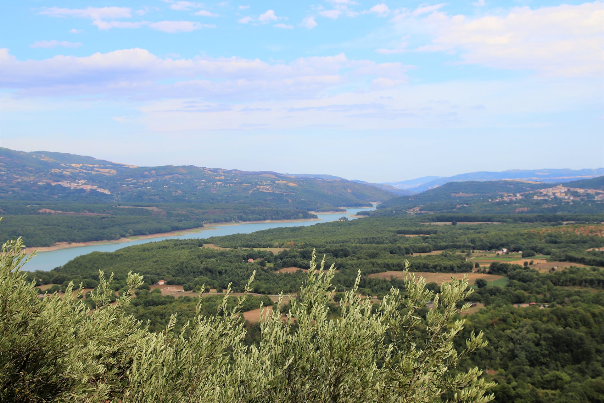 Bosco Maglie e Lago di Pietra del Pertusillo