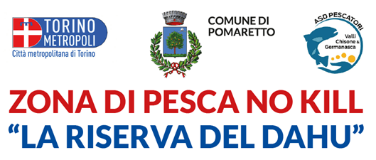 Pesca 'no kill'