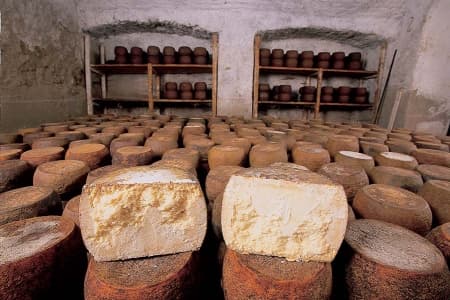 Museo del Fiore Sardo