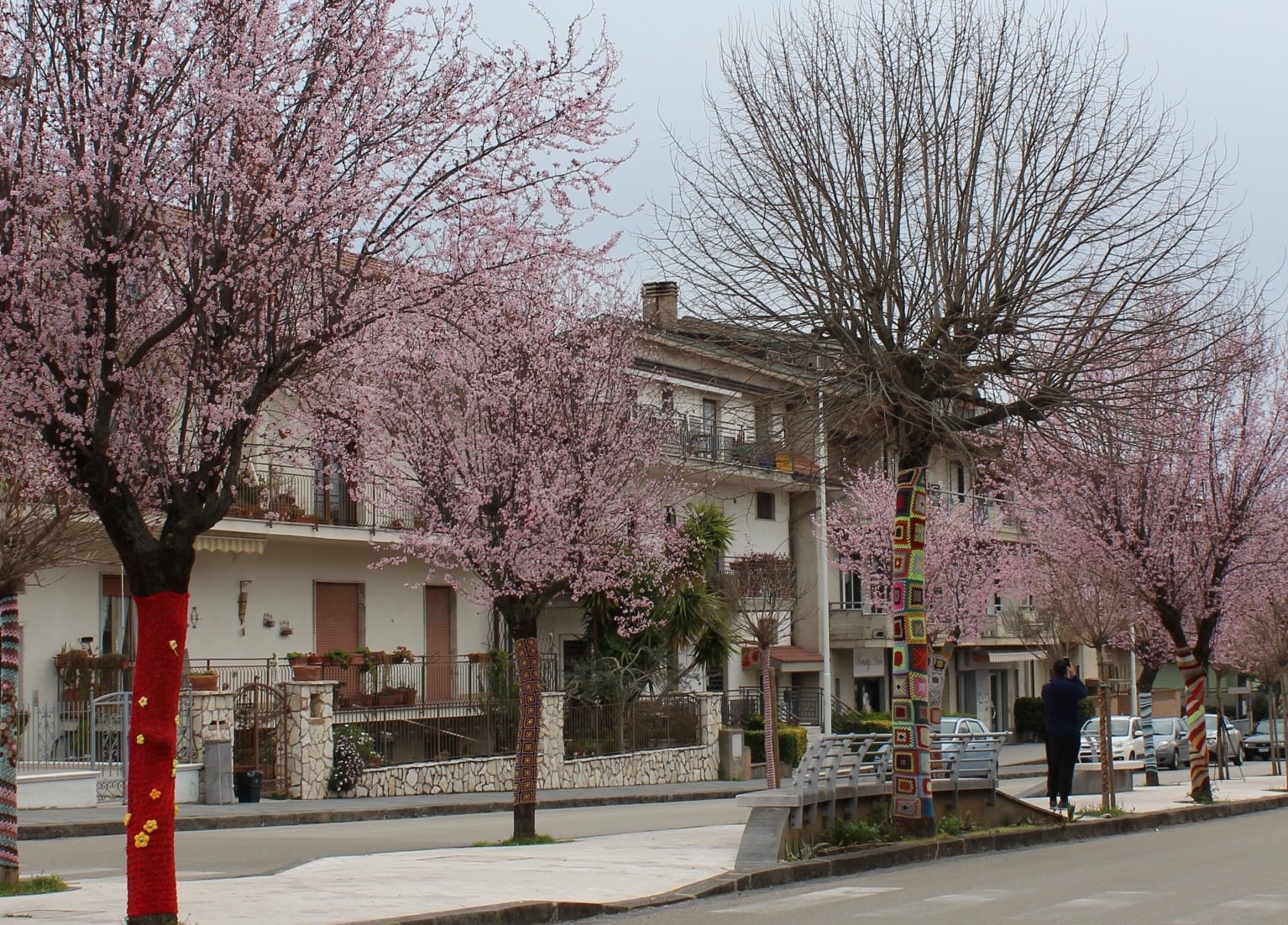 Viale Yarn bombing