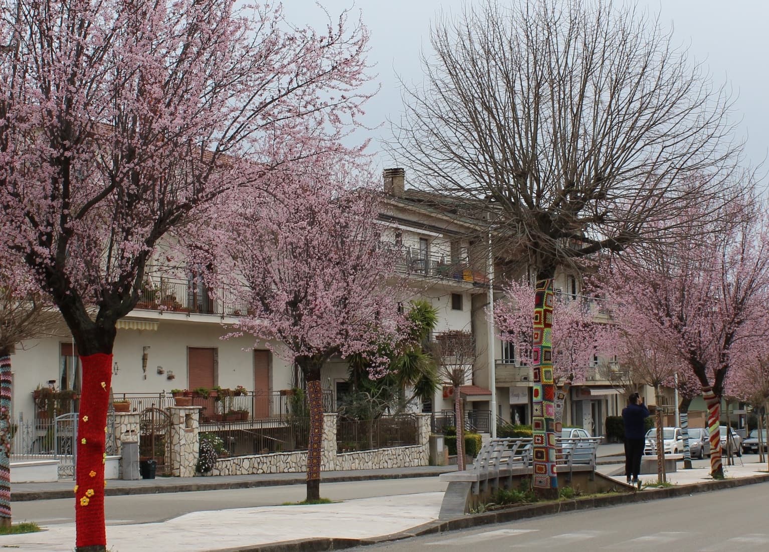 Viale Yarn bombing