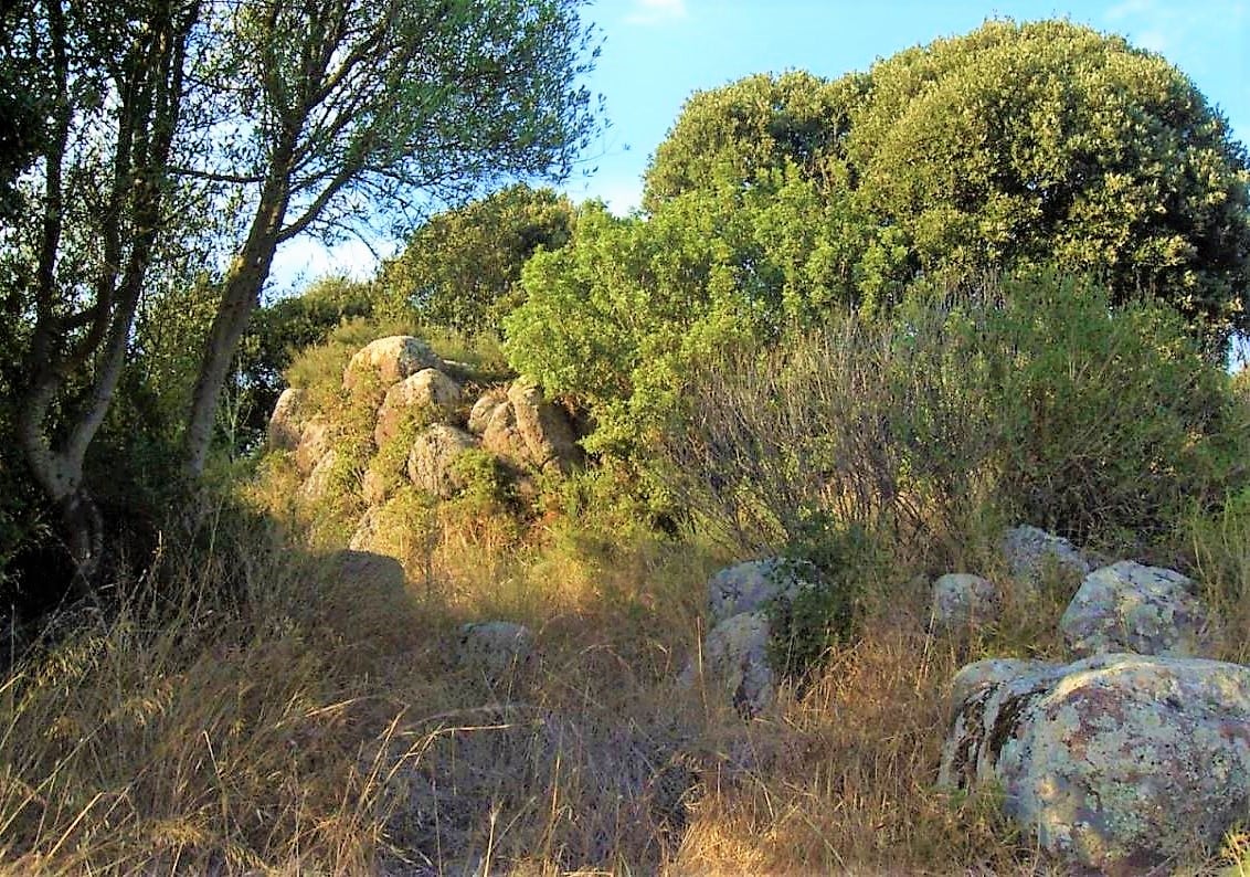 Nuraghe di San Lussorio e altri Nuraghi