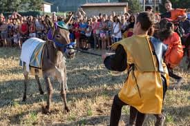Palio degli asini