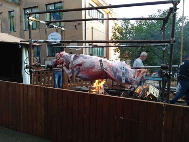 Sagra del vitello podolico alburnino e dell’olio d’oliva