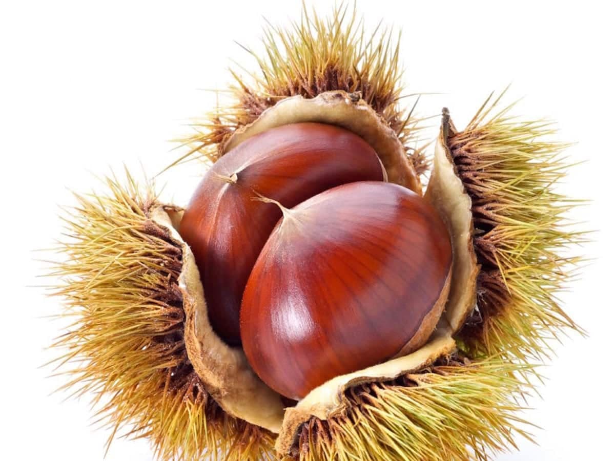 Festa delle Castagne