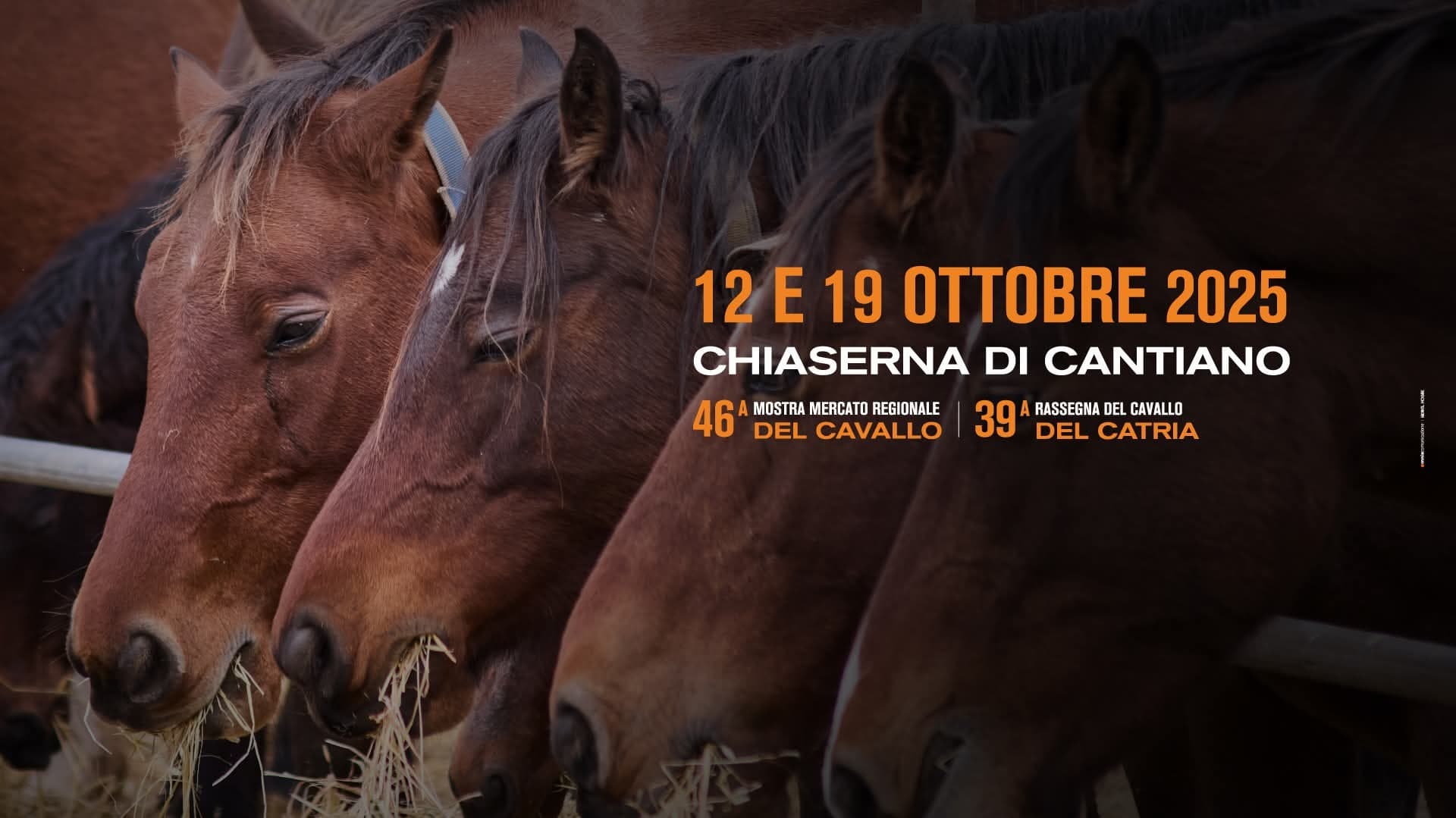 Mostra Mercato Regionale del Cavallo del Catria