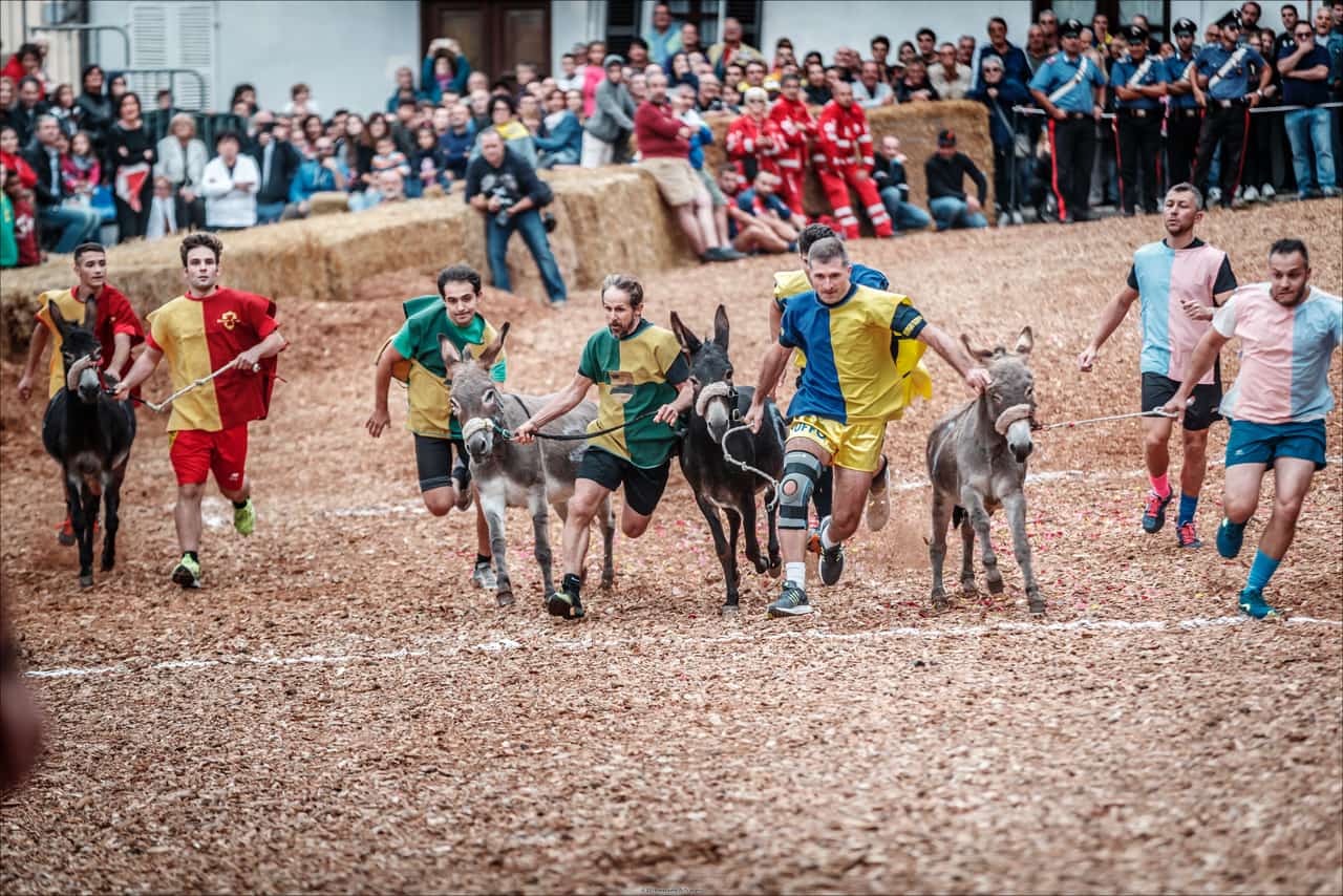 Il Palio degli Asini
