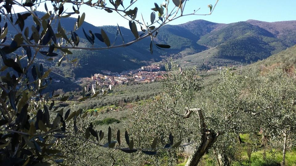 Buti (PI)