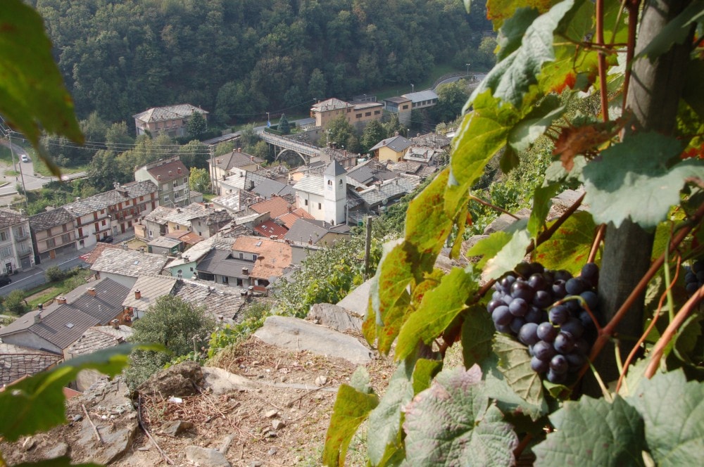 Pomaretto (TO)