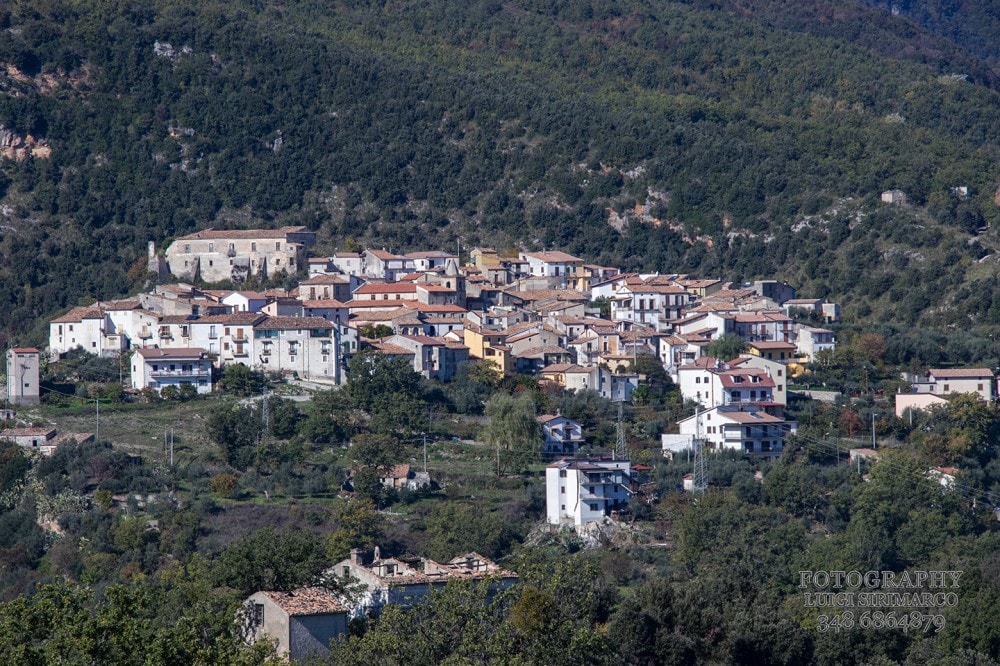 San Donato di Ninea (CS)