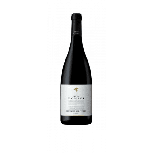 Cesanese del Piglio DOCG 2022 - Vinea Domini