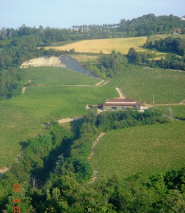 Le Vigne di Cà Nova - Azienda Vinicola, Produzione di vini tipici ed Internazionali.