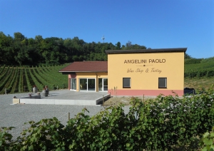 Angelini Paolo Wine Shop & Tasting Vendita diretta Vini Sfusi e in bottiglia Degustazioni