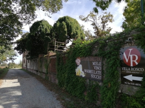Villa Ronco