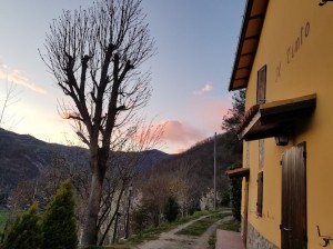 Il Tinto