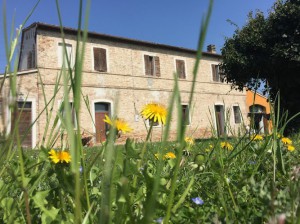 Il Rudere B&B
