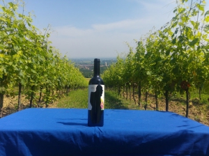 Manaresi Agricoltura e Vini - Cantina/winery/wine estate