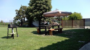 Violino