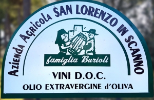 San Lorenzo in Scanno di Burioli Giovanni - cantina -