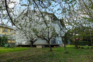 B&B I Fiori