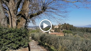 Villa del Cigliano - Chianti Classico