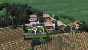 Vini di Toscana S.r.l.
