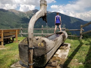 malga polinar