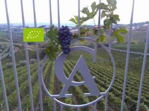 Azienda Agricola Allevi Maria Letizia