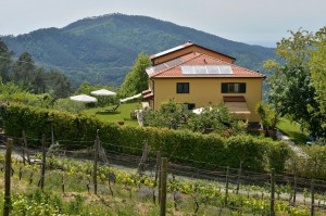 il laghello di amina