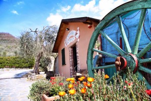 Agriturismo Osteria La Cappella