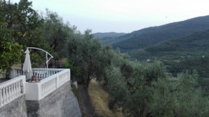 Agriturismo La Vigna
