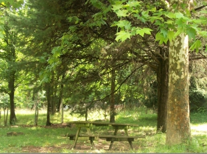 Parco L'Ombrellone