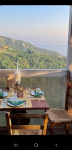 Trattoria l' Ulivo