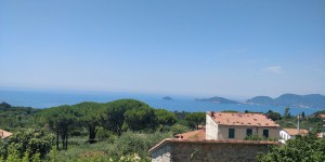 TRATTORIA BAR LA PINETA