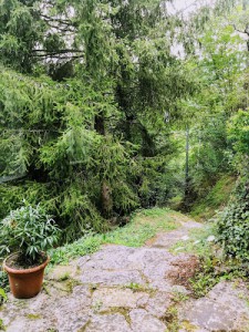 Secret Gardens B&B