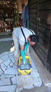 mastro mimmo