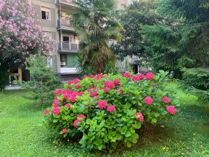 Citylife Business Apartment Tre Torri