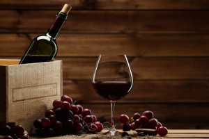Vinicola di Gioia Azienda Agroalimentare