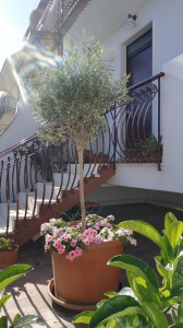 Il Cantico B&B