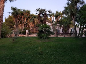 Hotel Tre Trulli
