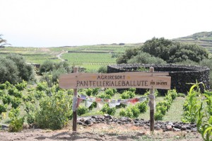 Pantelleria Agriresort Le Ballute - B&B Agriturismo