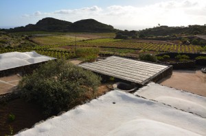 Azienda Agricola Biologica 