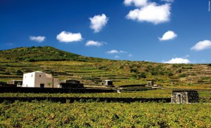 Donnafugata Cantina Khamma, Pantelleria