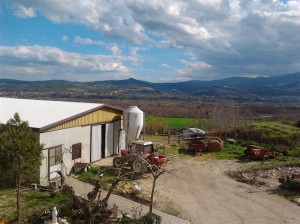 Azienda agricola 
