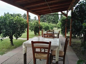 Il Frutteto