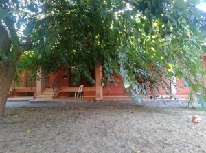 Agriturismo Le Mimose