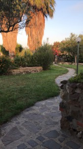 Agriturismo S'Aranada
